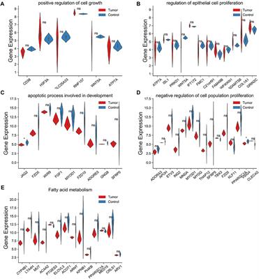 Expression profiles of exosomal tRNA-derived fragments and their biological functions in lipomas